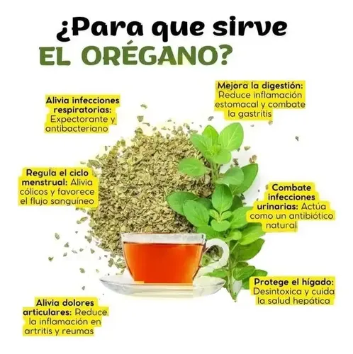 1QUguNv