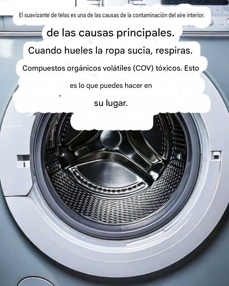 4116a3e6 45db 4c23 af1e f8881bed5d56 768x768 3 768x960