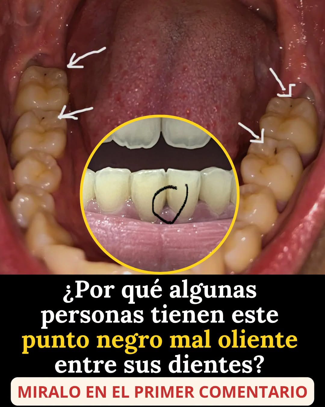 7f9a37af 2b8d 44c3 8880 049989efd757