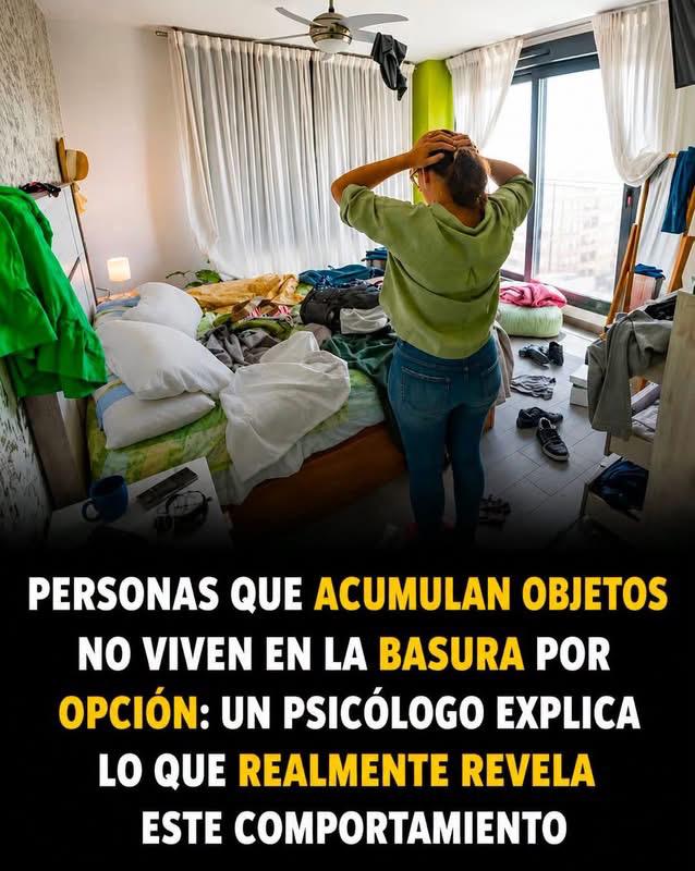 WhatsApp Image 2026 06 20 at 21.15.43 (1)