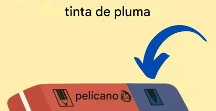 656322261 122157789014973955 7264166647718737589 n 768x960