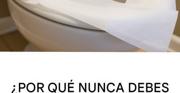 673030885 1519550576407146 5201081082143338576 n 819x1024 4 Copy Copy Copy Copy Copy Copy Copy