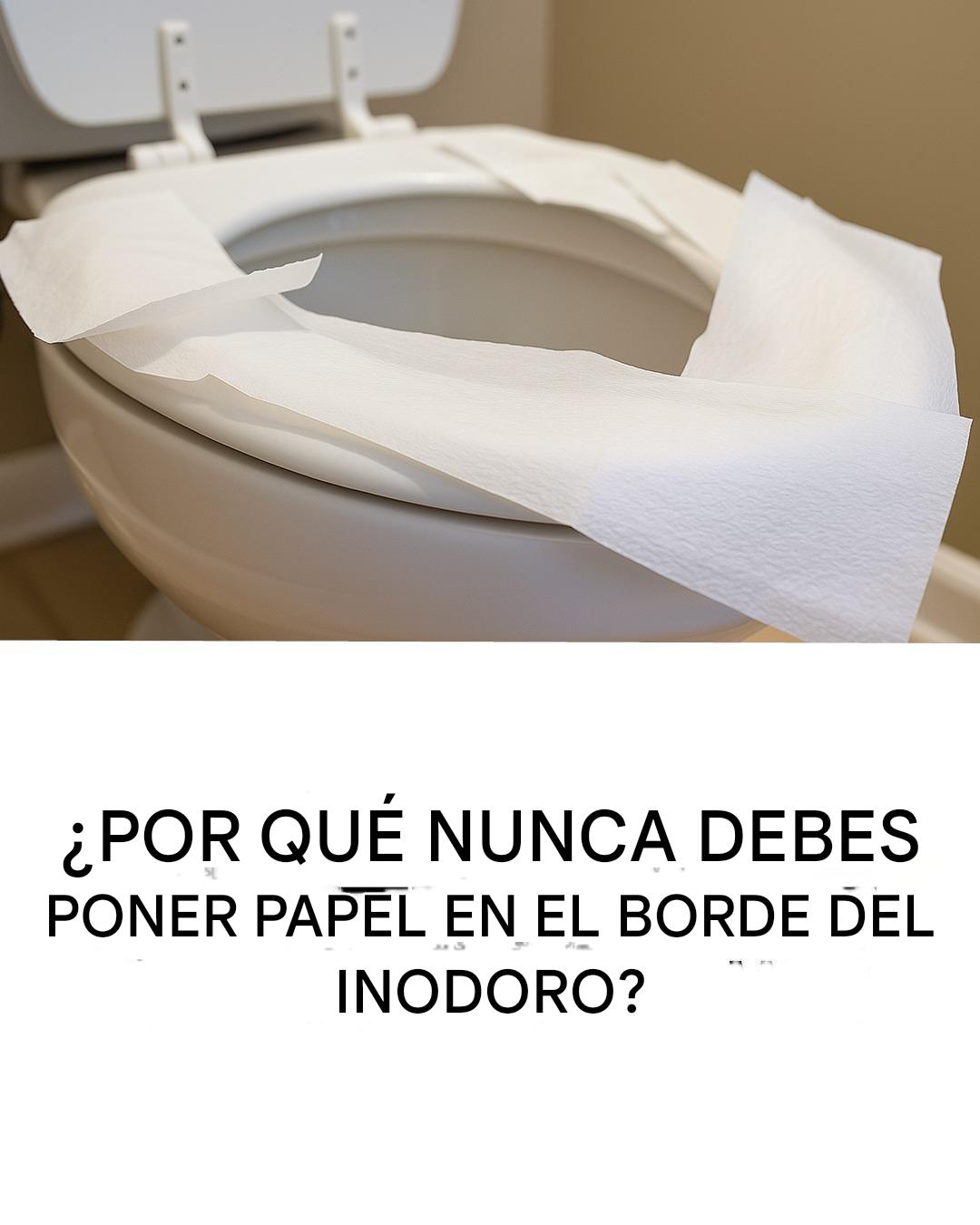 673030885 1519550576407146 5201081082143338576 n 819x1024 4 Copy Copy Copy Copy Copy Copy Copy