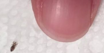 673030885 1519550576407146 5201081082143338576 n 819x1024
