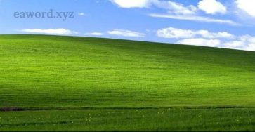7f9a37af 2b8d 44c3 8880 049989efd757
